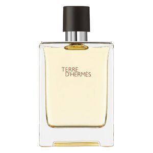 HERMES Terre D'hermes Eau de Toilette EDT Spray for Men 6.7 oz New